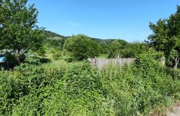  Teren parcelat intravilan 1040 mp – Cobia, sat Mislea – ieșire la pădure