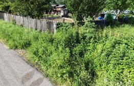  Teren parcelat intravilan 1040 mp – Cobia, sat Mislea – ieșire la pădure