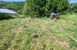 Teren intravilan, 1049 mp – Cobia, sat Mislea – ieșire la pădure