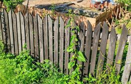  Teren parcelat intravilan 1040 mp – Cobia, sat Mislea – ieșire la pădure