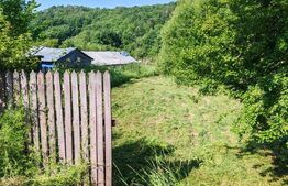 Teren intravilan, 1049 mp – Cobia, sat Mislea – ieșire la pădure