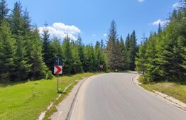 Teren intravilan, 1000 mp, Padina-Parcul Natural Bucegi 