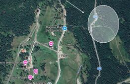 Teren intravilan, 1000 mp, Padina-Parcul Natural Bucegi 