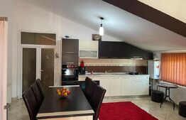 Casă / Vilă de închiriat /Ideal și pentru cămin de bătrâni