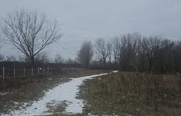 Teren de vânzare Exterior Nord - 190264TV | BLITZ Târgoviște | Poza2