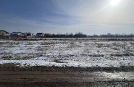 Teren intravilan, 447 mp, zona Priseaca