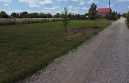 Oportunitate Unică în Târgoviște!  Ultimele Două Loturi de Teren Intravilan