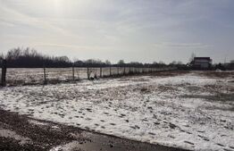 Teren intravilan, 447 mp, zona Priseaca