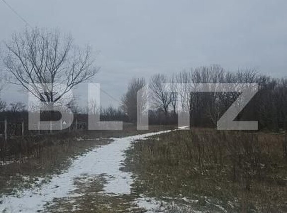Teren de vânzare Priseaca - 187218TV | BLITZ Târgoviște | Poza1