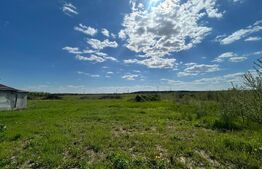 Teren intravilan, 1716 mp, zona Priseaca