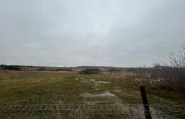 Teren intravilan, 1716 mp, zona Priseaca