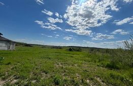 Teren intravilan, 1716 mp, zona Priseaca