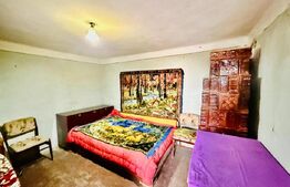 Oază de liniște în Titu – Sălcuța