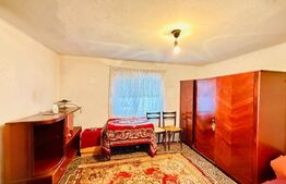 Oază de liniște în Titu – Sălcuța