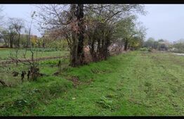 Ocazie investiţie! Teren intravilan cu acces stradal, Petresti Dambovita