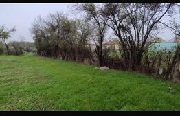 Ocazie investiţie! Teren intravilan cu acces stradal, Petresti Dambovita