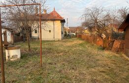 Casă pe Teren Generos 3.920 mp | Stil Brâncovenesc | Potențial Parc Rezidențial 