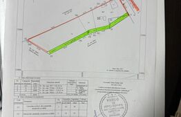 Casă pe Teren Generos 3.920 mp | Stil Brâncovenesc | Potențial Parc Rezidențial 