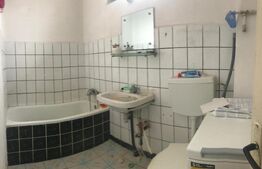 Casă pe Teren Generos 3.920 mp | Stil Brâncovenesc | Potențial Parc Rezidențial 