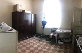 Casă pe Teren Generos 3.920 mp | Stil Brâncovenesc | Potențial Parc Rezidențial 