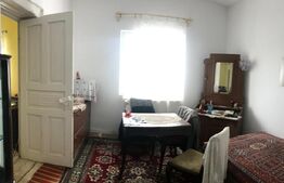 Casă pe Teren Generos 3.920 mp | Stil Brâncovenesc | Potențial Parc Rezidențial 