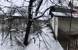 Casă pe Teren Generos 3.920 mp | Stil Brâncovenesc | Potențial Parc Rezidențial 