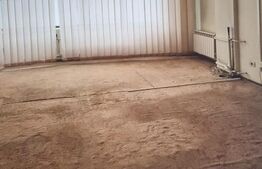 Clădire P+1 de închiriat–zonă Titu