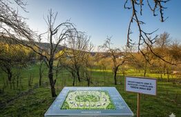 Teren intravilan, 9066 mp, zona Aninoasa