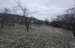 Teren intravilan, 9066 mp, zona Aninoasa