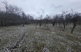 Teren intravilan, 9066 mp, zona Aninoasa