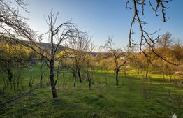 Teren intravilan, 9066 mp, zona Aninoasa