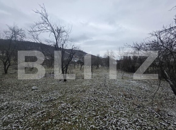 Teren de vânzare Sud - 187556TV | BLITZ Târgoviște | Poza8