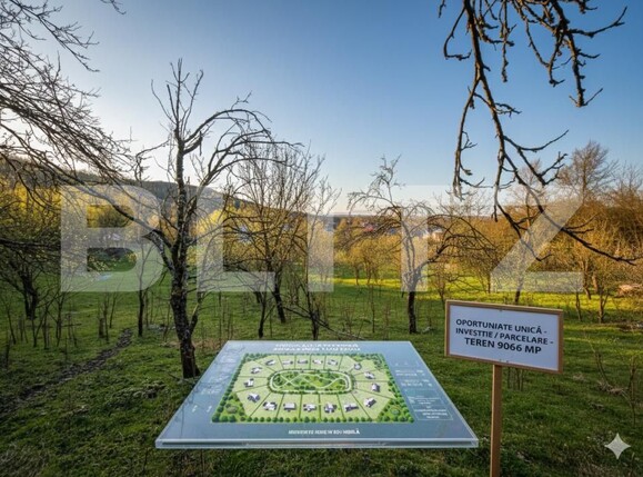 Teren de vânzare Sud - 187556TV | BLITZ Târgoviște | Poza1