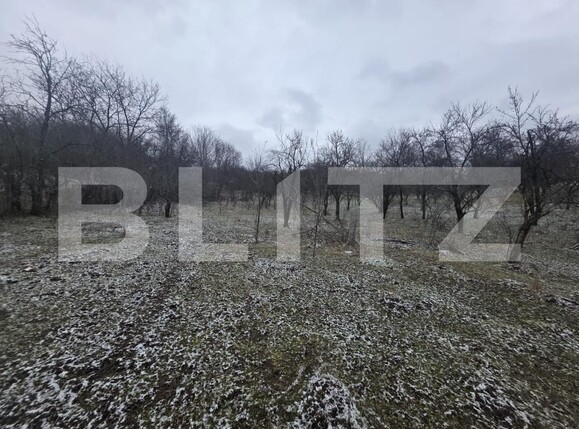 Teren de vânzare Sud - 187556TV | BLITZ Târgoviște | Poza7