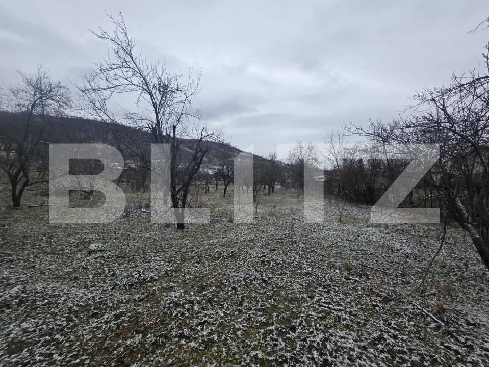 Teren de vânzare Sud - 187556TV | BLITZ Târgoviște | Poza8