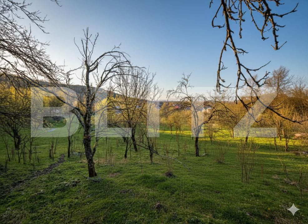 Teren de vânzare Sud - 187556TV | BLITZ Târgoviște | Poza9