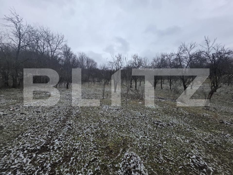 Teren de vânzare Sud - 187556TV | BLITZ Târgoviște | Poza7