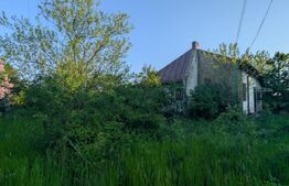 Casă 2 dormitoare, 90 mp, 1150 mp teren, Mircea Voda