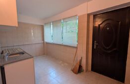Casă 2 dormitoare, 90 mp, 1150 mp teren, Mircea Voda