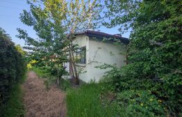 Casa de vânzare 3 camere Moreni - 201068CV | BLITZ Târgoviște | Poza5