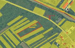 Teren intravilan, 3000 mp, zona Nord-Est