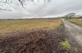 Teren extravilan, 1578 mp, zonă Natație Târgoviște