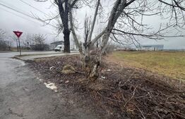 Teren extravilan, 1578 mp, zonă Natație Târgoviște