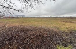 Teren extravilan, 1578 mp, zonă Natație Târgoviște