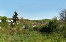 Teren intravilan – 800 mp, zonă pitorească zona Viforâta