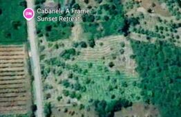 Teren intravilan 10.000 mp | Deschidere 40 m | Zonă de pădure | Ideal A-Frame 