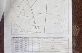 Teren intravilan 10.000 mp | Deschidere 40 m | Zonă de pădure | Ideal A-Frame 