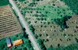 Teren intravilan 10.000 mp | Deschidere 40 m | Zonă de pădure | Ideal A-Frame 