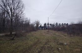 Teren de vânzare Titu - 190772TV | BLITZ Târgoviște | Poza1