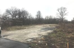 Teren Intravilan, 1500 mp la Sosea Principală–Gata de construit, Gura Ocnitei